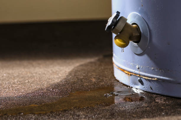 Best Flood restoration services  in Olton, TX