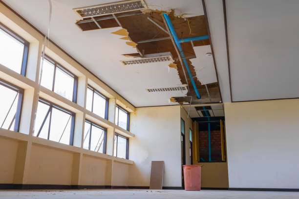 Best Professional water damage repair  in Olton, TX