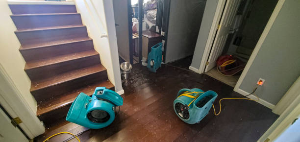 Best Flooded house restoration  in Olton, TX