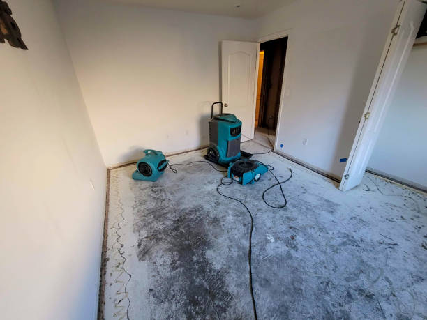 Best Commercial water damage restoration  in Olton, TX