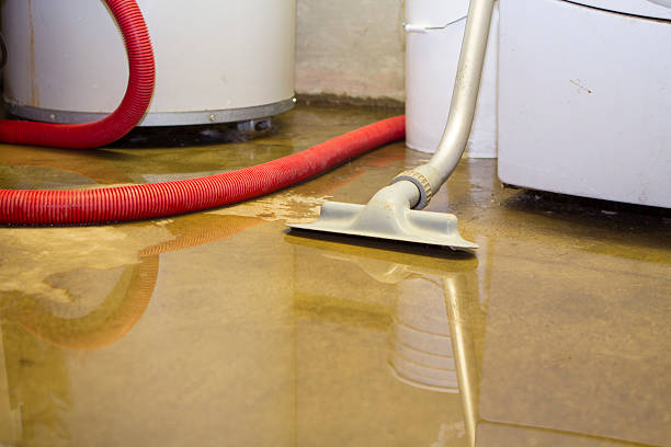 Best Sewage cleanup and water damage restoration  in Olton, TX