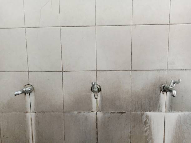 Best Emergency water extraction  in Olton, TX