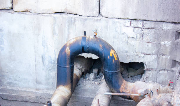 Best Basement water damage restoration  in Olton, TX