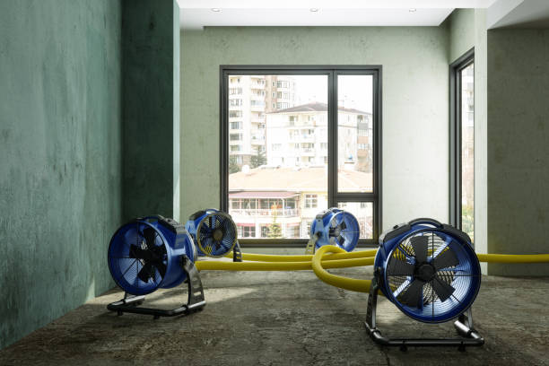 Best Water damage restoration near me  in Olton, TX